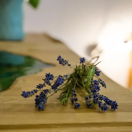 Hus Barkenboom - #122947 维克